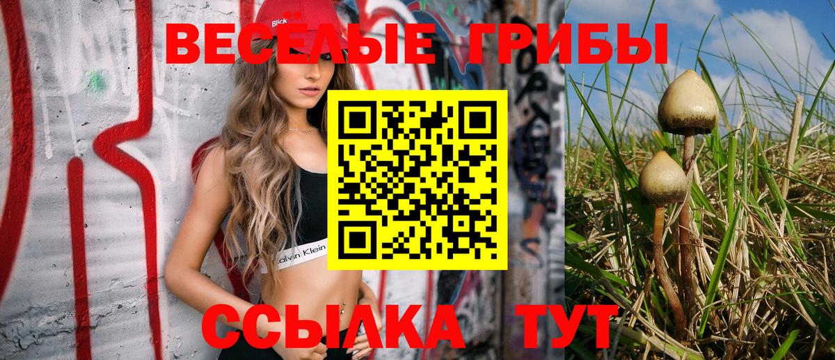 Лыткарино  Псилоцибиновые грибы GOLDEN TEACHER  Галлюциногенные грибы мухоморы  Вход с VPN 